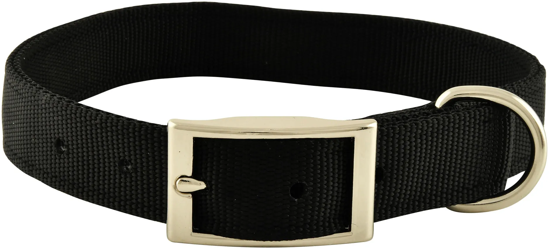 1" Nylon Dog Collar, 24"L