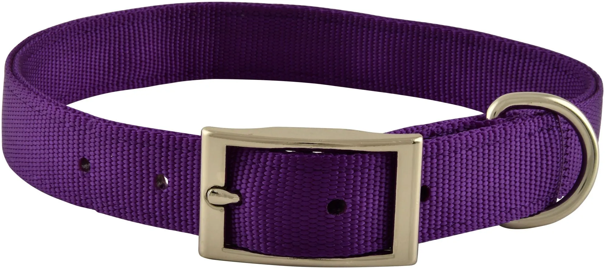 1" Nylon Dog Collar, 24"L