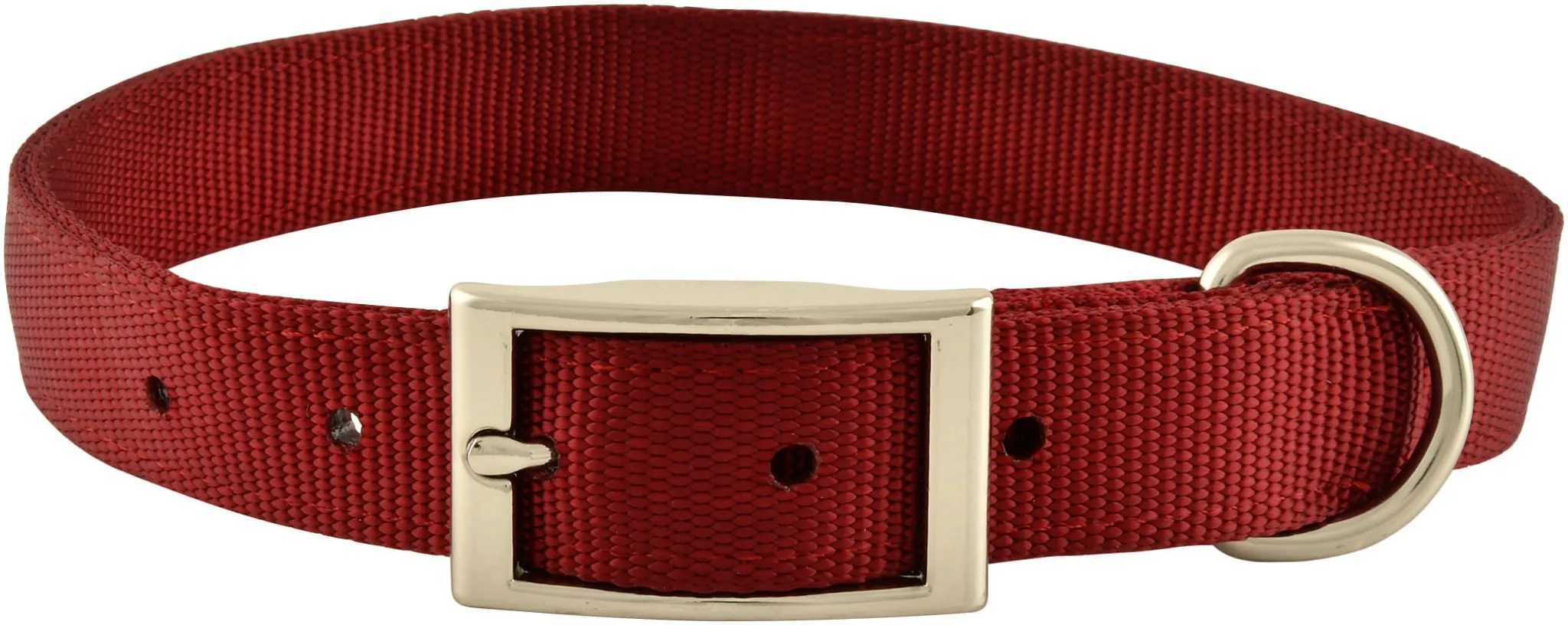 1" Nylon Dog Collar, 24"L