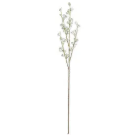 35 Inch Powdered Green Eucalyptus Pod Stem