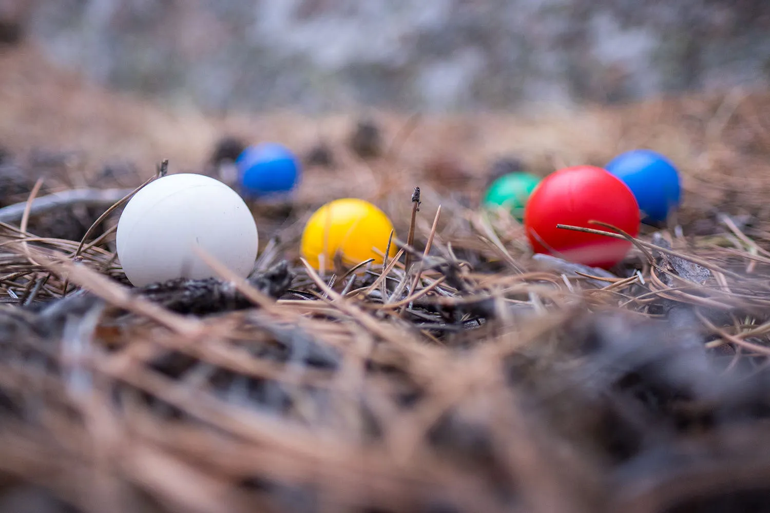 Backpack Bocce Ball