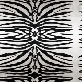 Bold Zebra Fabric - Avalana Design