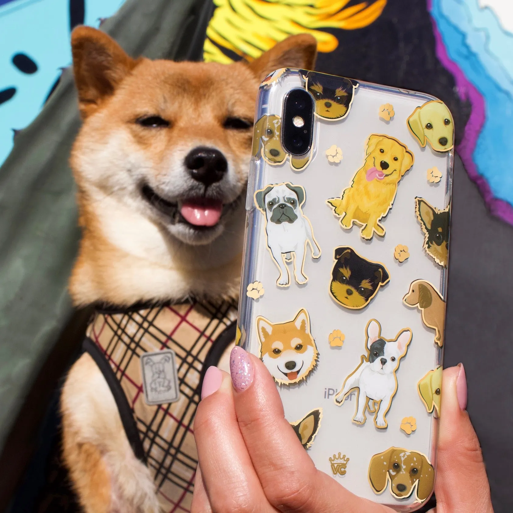 Dog Clear iPhone Case