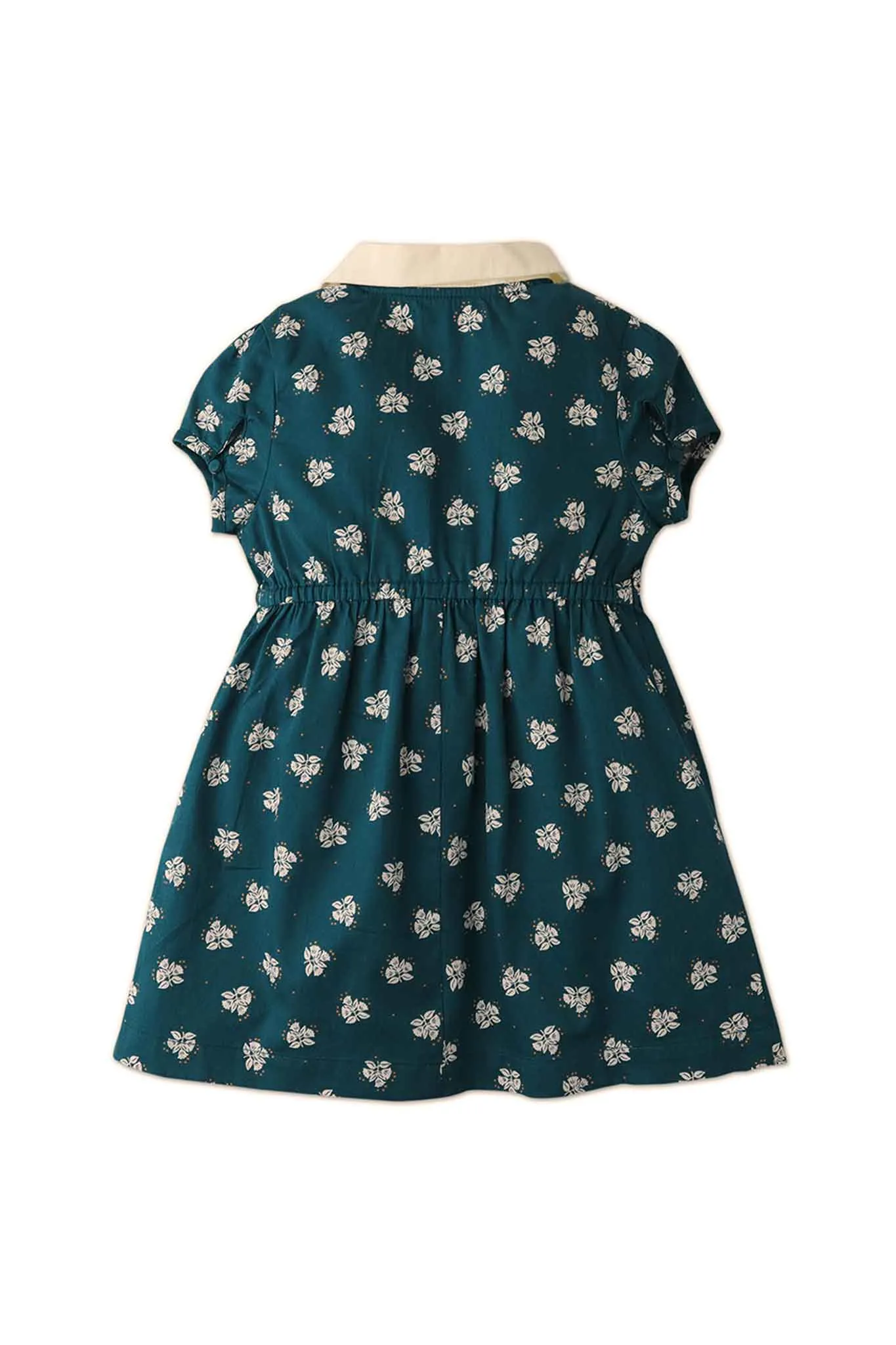 Gingersnaps Ditsy Print Dress W/ Contrast Peter Pan Collar