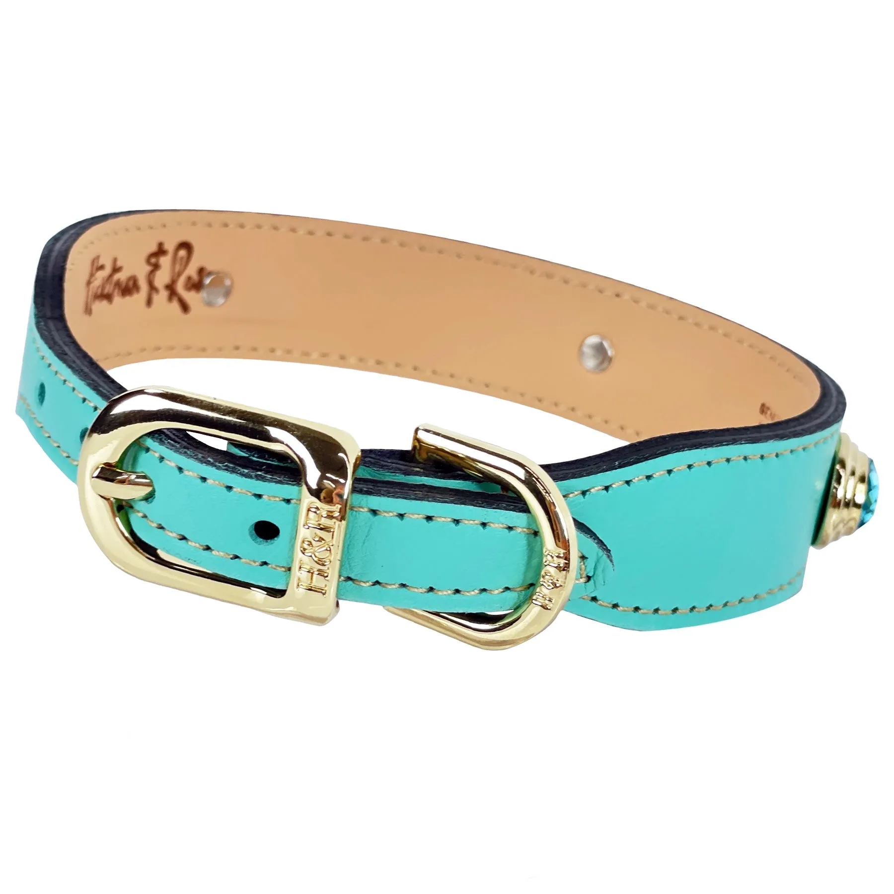 Royal Dog Collar in Turquoise & Gold