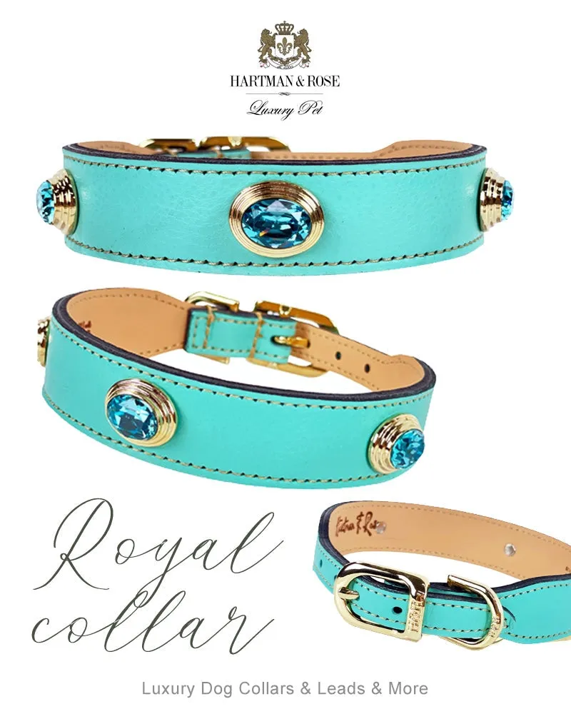 Royal Dog Collar in Turquoise & Gold