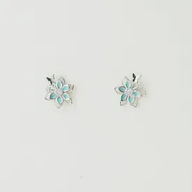 Silver Twilight Cosmos Earrings