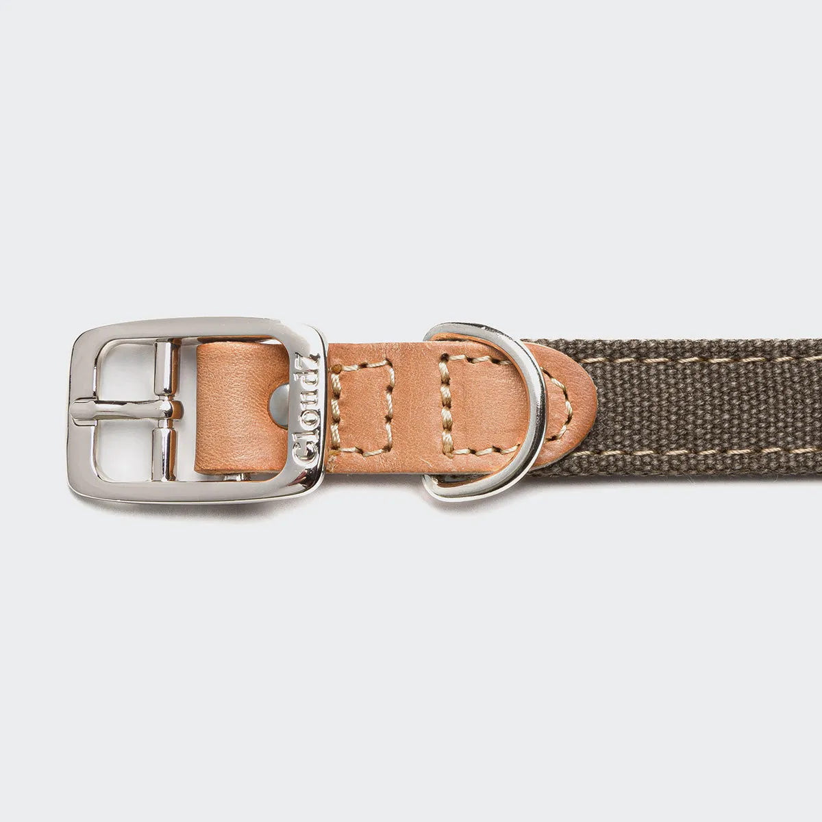 Tivoli Dog Collar in Greige from Cloud 7